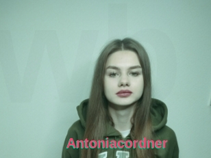 Antoniacordner