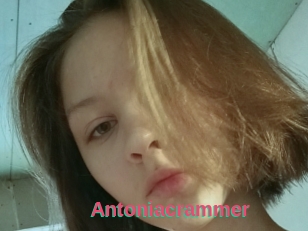 Antoniacrammer
