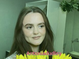 Antoniadudley