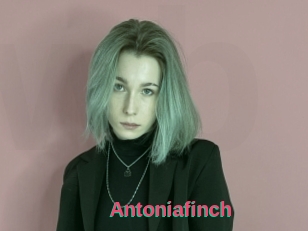 Antoniafinch