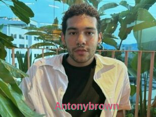 Antonybrown