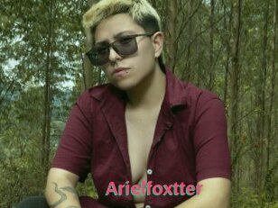Arielfoxtter