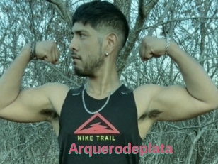 Arquerodeplata