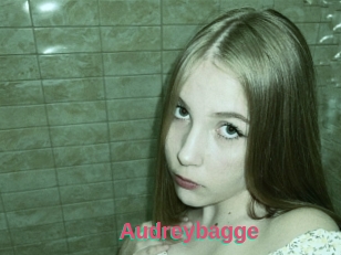 Audreybagge