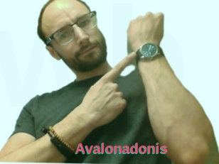 Avalonadonis