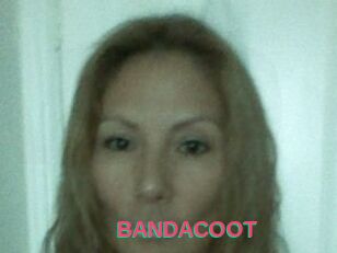 BANDACOOT