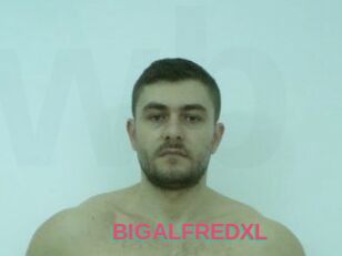 BIGALFREDXL