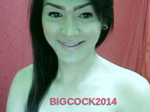 BIGCOCK2014