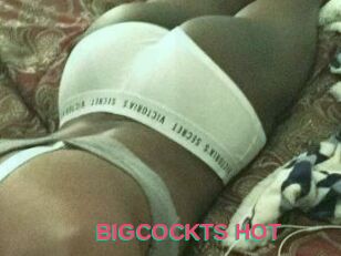 BIGCOCKTS_HOT