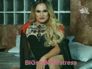 BIGsnakeMistress