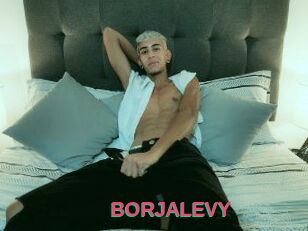 BORJALEVY