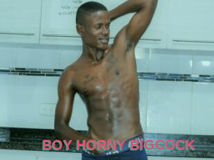 BOY_HORNY_BIGCOCK