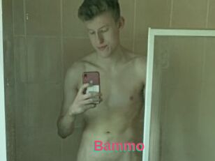 Bammo