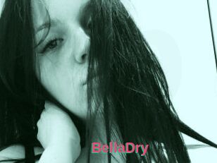 BellaDry