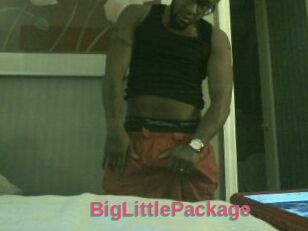 BigLittlePackage