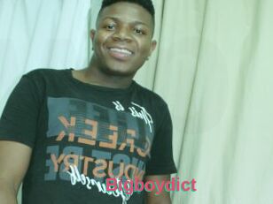 Bigboydict