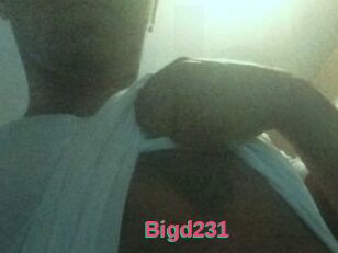 Bigd231