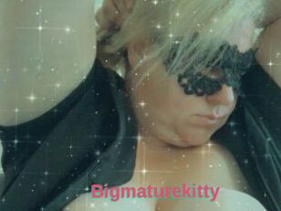 Bigmaturekitty