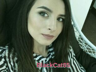 BlackCat85