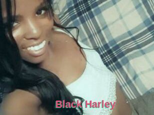 Black_Harley