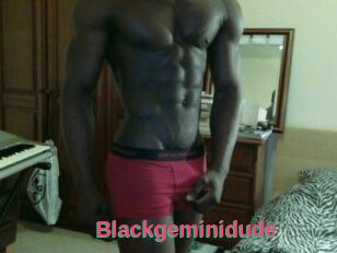 Blackgeminidude