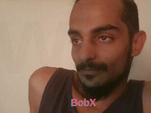 BobX