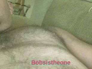 Bobsistheone