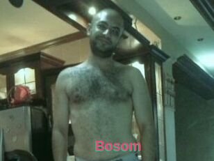 Bosom