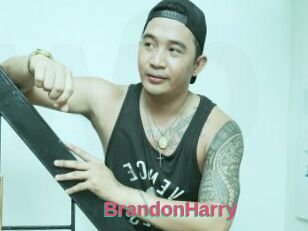 BrandonHarry