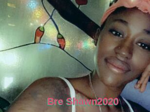 Bre_Shawn2020