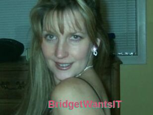 BridgetWantsIT