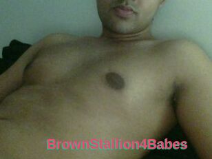 BrownStallion4Babes
