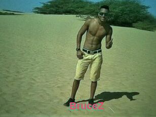 BruceZ