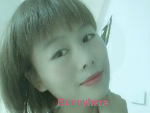Bunnyhere