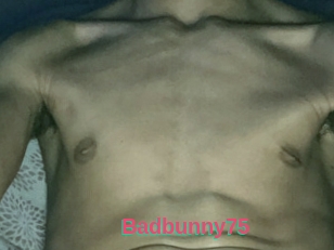 Badbunny75