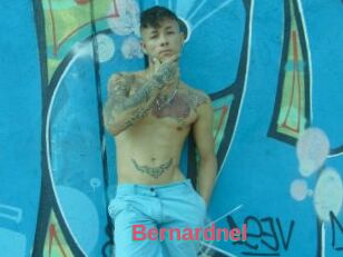 Bernardnel