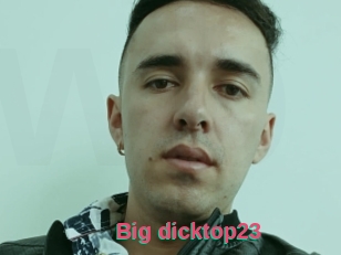 Big_dicktop23