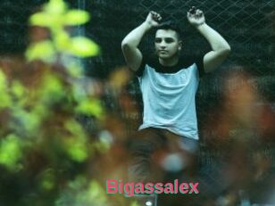 Bigassalex