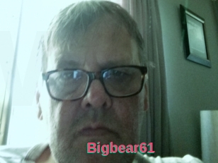 Bigbear61