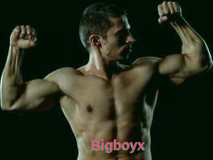 Bigboyx