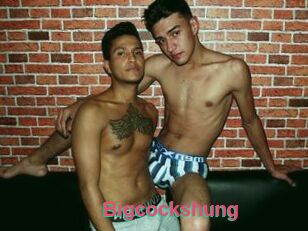 Bigcockshung