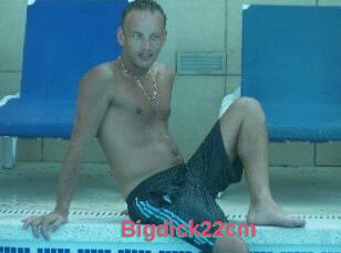 Bigdick22cm