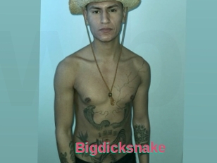 Bigdicksnake