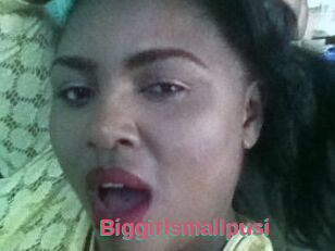 Biggirlsmallpusi