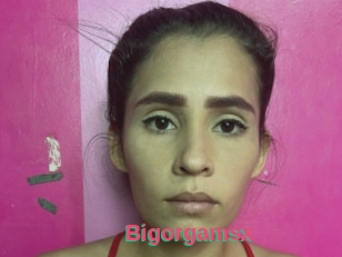 Bigorgamsx