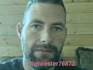 Bigrooster76872