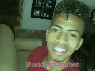 Blackboy12inches