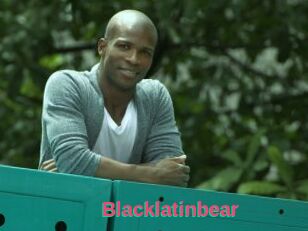 Blacklatinbear