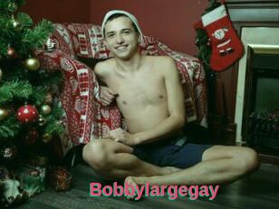 Bobbylargegay