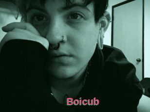 Boicub